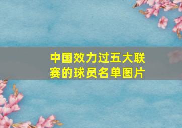 中国效力过五大联赛的球员名单图片