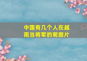 中国有几个人在越南当将军的呢图片