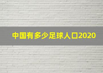 中国有多少足球人口2020