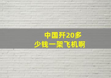 中国歼20多少钱一架飞机啊