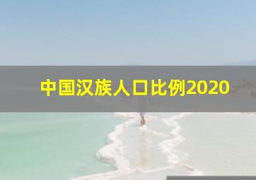 中国汉族人口比例2020