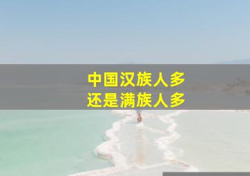 中国汉族人多还是满族人多