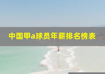 中国甲a球员年薪排名榜表