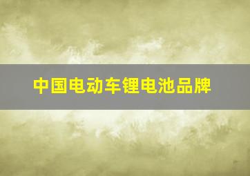 中国电动车锂电池品牌