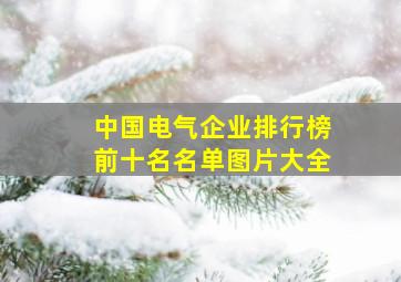 中国电气企业排行榜前十名名单图片大全