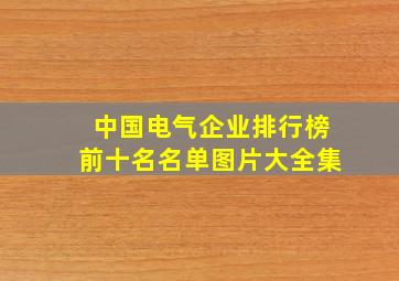 中国电气企业排行榜前十名名单图片大全集