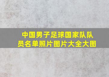 中国男子足球国家队队员名单照片图片大全大图