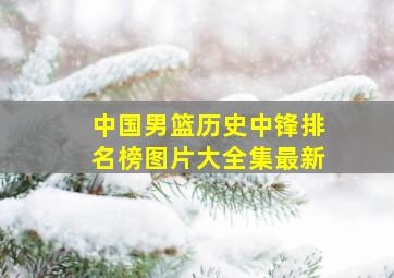 中国男篮历史中锋排名榜图片大全集最新