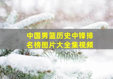 中国男篮历史中锋排名榜图片大全集视频