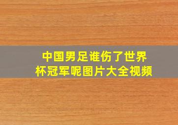 中国男足谁伤了世界杯冠军呢图片大全视频