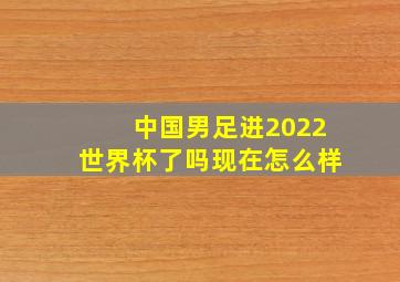 中国男足进2022世界杯了吗现在怎么样