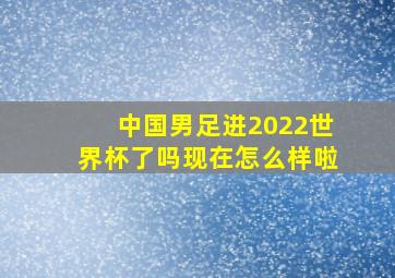 中国男足进2022世界杯了吗现在怎么样啦