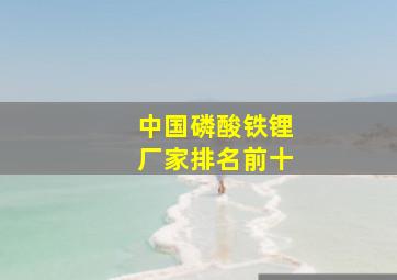 中国磷酸铁锂厂家排名前十