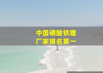 中国磷酸铁锂厂家排名第一