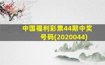 中国福利彩票44期中奖号码(2020044)