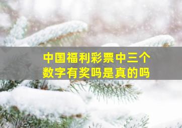 中国福利彩票中三个数字有奖吗是真的吗