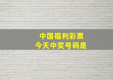 中国福利彩票今天中奖号码是