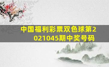 中国福利彩票双色球第2021045期中奖号码