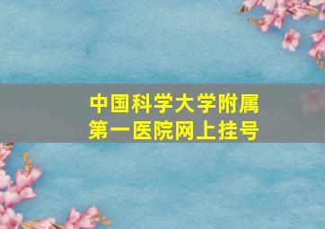 中国科学大学附属第一医院网上挂号