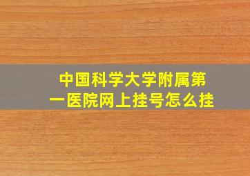 中国科学大学附属第一医院网上挂号怎么挂