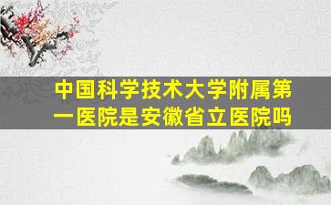 中国科学技术大学附属第一医院是安徽省立医院吗