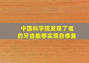 中国科学院发现了谁的牙齿能够实现自修复