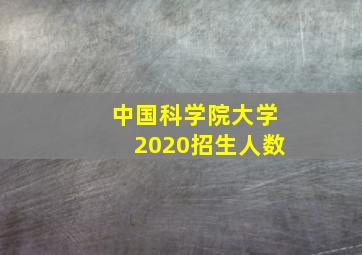 中国科学院大学2020招生人数