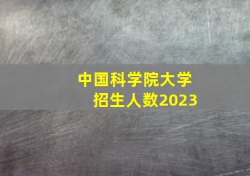 中国科学院大学招生人数2023