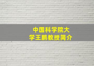 中国科学院大学王鹏教授简介