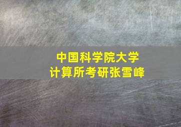 中国科学院大学计算所考研张雪峰