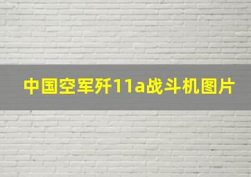 中国空军歼11a战斗机图片