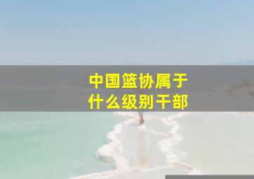 中国篮协属于什么级别干部