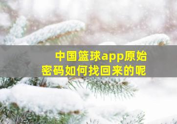 中国篮球app原始密码如何找回来的呢