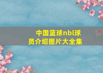 中国篮球nbl球员介绍图片大全集