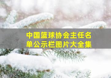 中国篮球协会主任名单公示栏图片大全集