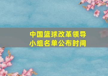 中国篮球改革领导小组名单公布时间