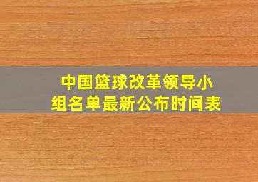 中国篮球改革领导小组名单最新公布时间表