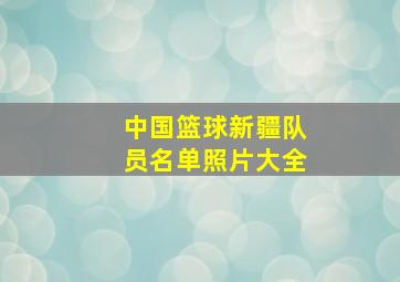 中国篮球新疆队员名单照片大全