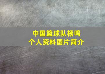 中国篮球队杨鸣个人资料图片简介