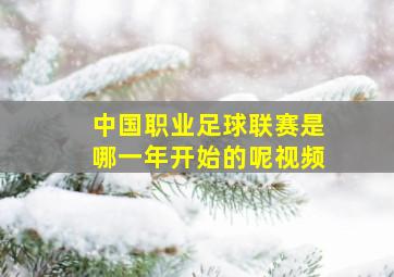 中国职业足球联赛是哪一年开始的呢视频