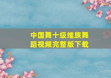 中国舞十级维族舞蹈视频完整版下载