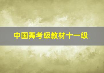 中国舞考级教材十一级