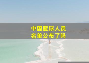 中国蓝球人员名单公布了吗