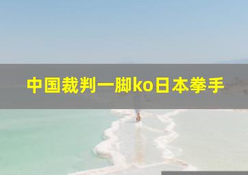 中国裁判一脚ko日本拳手