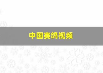 中国赛鸽视频