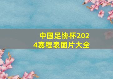 中国足协杯2024赛程表图片大全