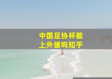 中国足协杯能上外援吗知乎