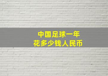 中国足球一年花多少钱人民币