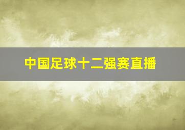 中国足球十二强赛直播