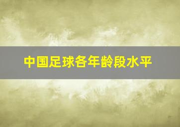 中国足球各年龄段水平